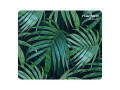 Podkładka pod mysz FOTO Natec Modern Art - Palm tree 220x180mm 10-Pack - 985225
