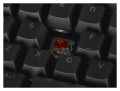 Klawiatura Endorfy Omnis Brown (EY5A029) - 1181365