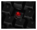 Klawiatura Endorfy Omnis Red (EY5A030) - 1205792