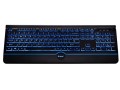 Klawiatura przewodowa Tracer OFIS PRO USB - 782699