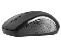 Mysz bezprzewodowa Tracer Blaster II RF optyczna nano czarna - 783871