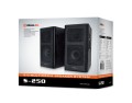 Zestaw kolumn głośnikowych REAL-EL S-250 (aktywne, 20W, black, 2szt) - 1064881