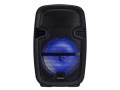 Głośnik przenośny BROOKLIN B08L (kolor czarny) - 1216940