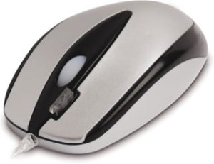 MYSZ A4-TECH EVO OPTO 013D, KOLOR CZARNO-SREBRNY, PS/2