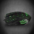 ESPERANZA MYSZ PRZEWOD. 6D DLA GRACZY GALAXY USB-C EGM212 - 1029614