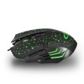 ESPERANZA MYSZ PRZEWOD. 6D DLA GRACZY GALAXY USB-C EGM212 - 1029622
