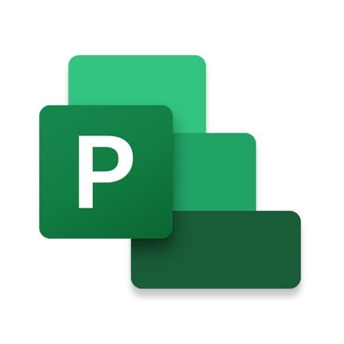 Project Standard 2021 Win All Languages Online ESD - 1182446