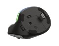 Mysz TRUST BAYO ERGO WIRELESS - 1067372