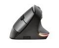 Mysz TRUST BAYO ERGO WIRELESS - 1067366