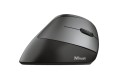 Mysz TRUST BAYO ERGO WIRELESS - 1067370