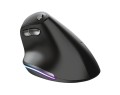 Mysz TRUST BAYO ERGO WIRELESS - 1067368