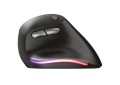 Mysz TRUST BAYO ERGO WIRELESS - 1067369