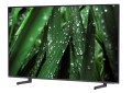 Telewizor 43" QLED Samsung QE43Q67B (4K HDR 3100 PQI DVB-T2 HEVC Smart) - 1172773