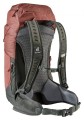 Plecak turystyczny Deuter AC Lite 24 redwood-ivy - 1504187