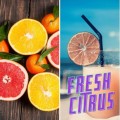 K2 DEOCAR  FRESH CITRUS 250ML - odświeżacz powietrza - 1177017