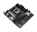 Płyta główna Biostar A620MP-E PRO - 1523578