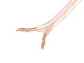 Kabel głośnikowy Lanberg 2x2.5mm2 25m przezroczysty - 1378203
