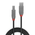 Kabel drukarkowy USB LINDY 2.0 A/M - B/M, Anthra Line 0,5m Czarny - 1378624