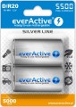 Akumulatorki D/R20 everActive Professional Line 5500 mAh 2 sztuki - 836642