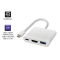 Kabel USB Qoltec 3.1 typCM /  HDMI AF+USB AF+USB C - 1630029