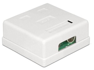 Gniazdo natynkowe Delock kat.6 2x RJ45 ekranowane białe