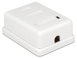 Gniazdo natynkowe Delock kat.6 1x RJ45 ekranowane białe