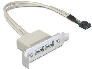 Gniazdo Delock 2x USB 2.0 low profile na śledziu