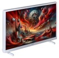 Telewizor 24" Philips 24PHS5537/12 (HD DVB-T2/HEVC) - 1792749