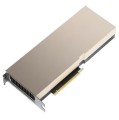 PNY NVIDIA A100 Module 80GB HBM2 PCIe 4.0 x16 - 1754448