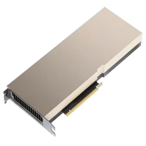 PNY NVIDIA A100 Module 80GB HBM2 PCIe 4.0 x16 - 1754448