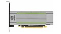 PNY Tesla T4 16GB ATX - 1754457